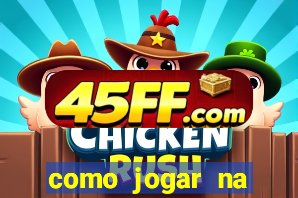 como jogar na lotinha do jogo do bicho